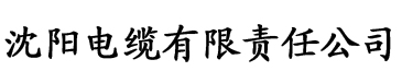 策驰影院高清电缆厂logo